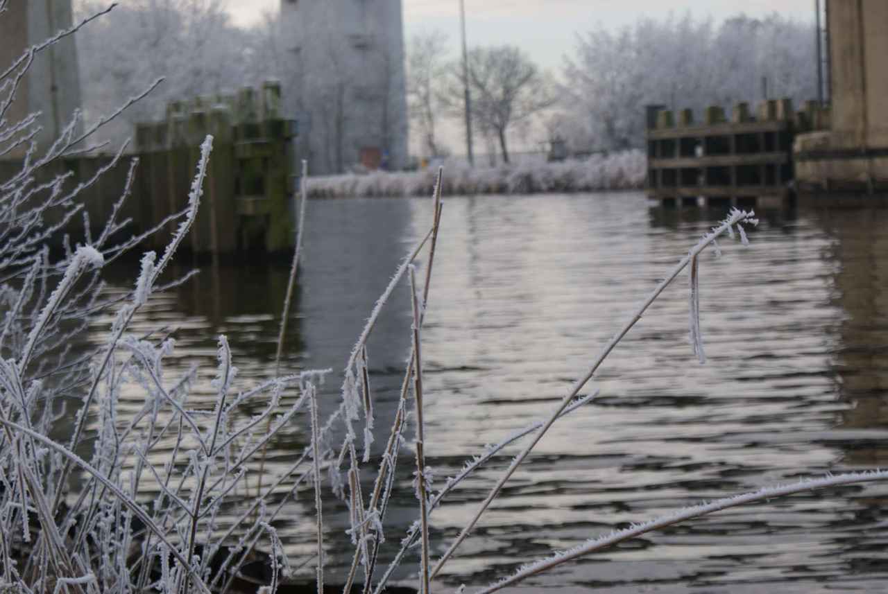 Pescar carpas en invierno