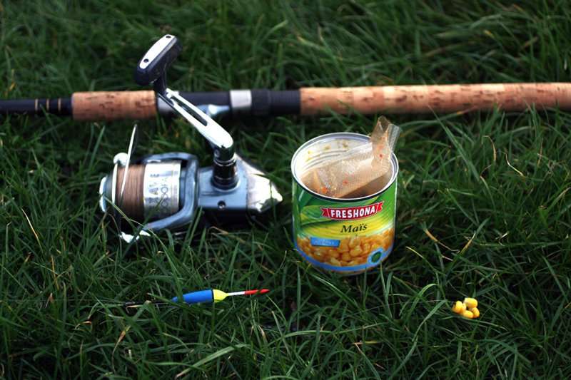 Pesca con flotador en invierno