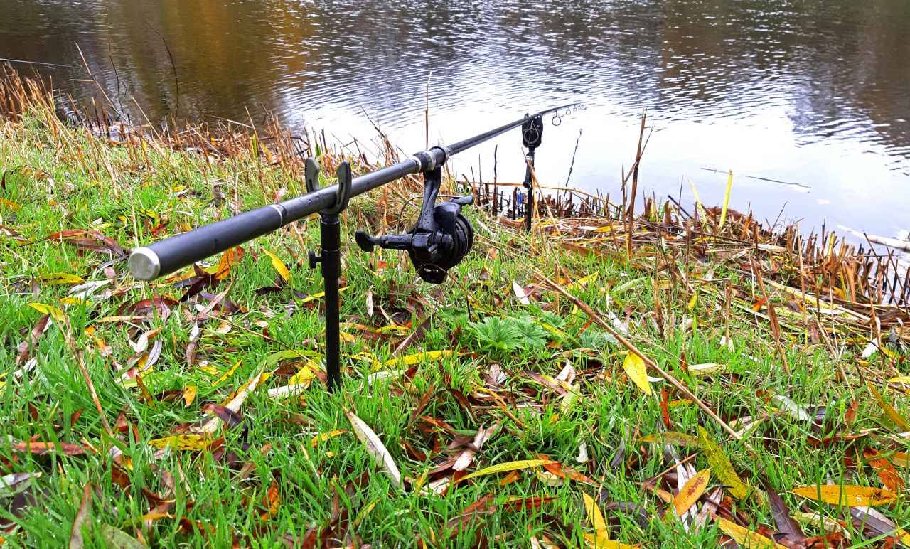Static Stalking for Carp in Winter