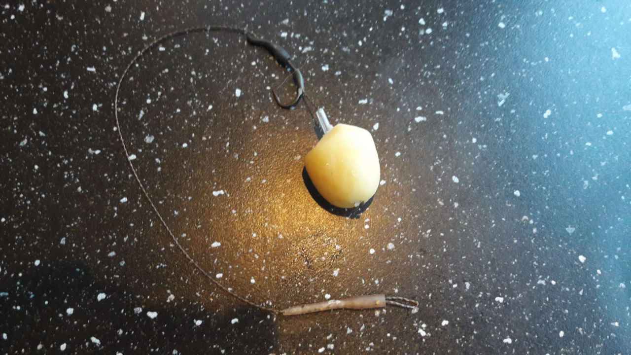 Statisch karpervissen met krielaardappelen