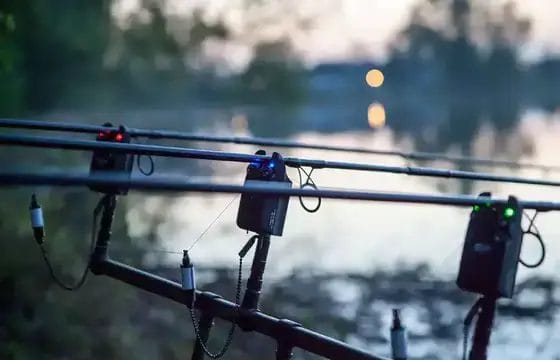 El pescador de carpas principiante: ¿qué caña de carpfishing elegir?