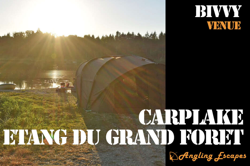 Impressie video Etang du Grand Foret