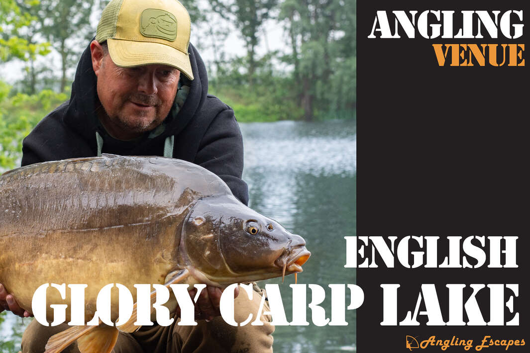 Impressionvideo Glory Carplake