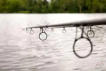 Karperhengels uitzoeken, welke moet ik hebben?