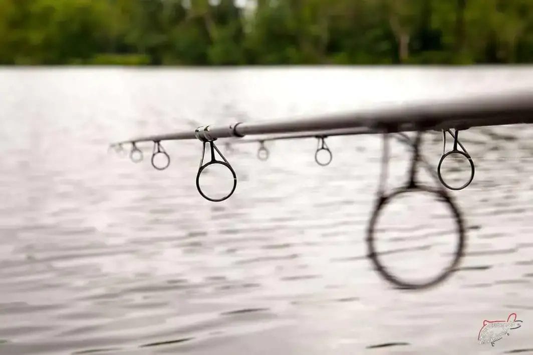 ¿Qué cañas de carpfishing elegir? ¿Cuál necesito?