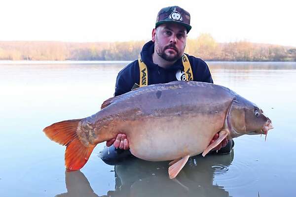 Een grote 40pond karper op lac de lepinet
