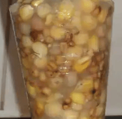 De Particalipo, een ijskoud kunstje