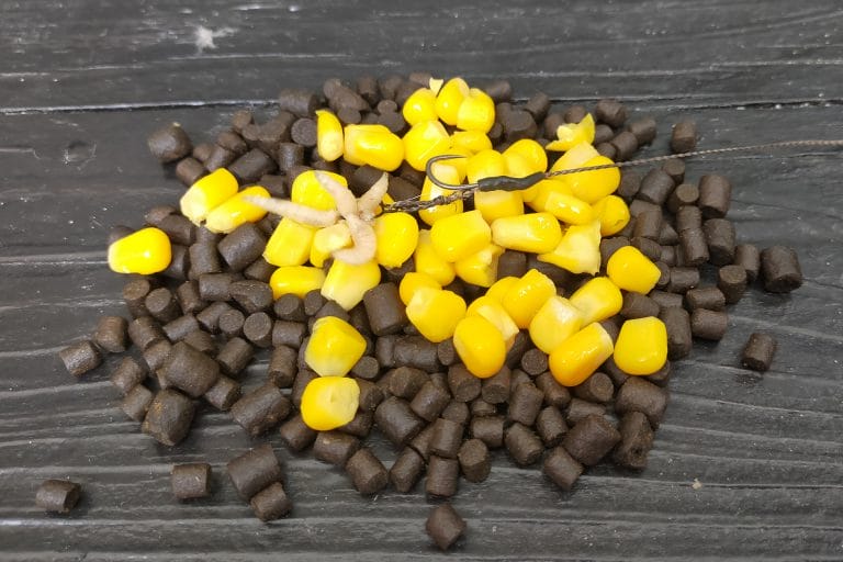Increasing the chances of a carp