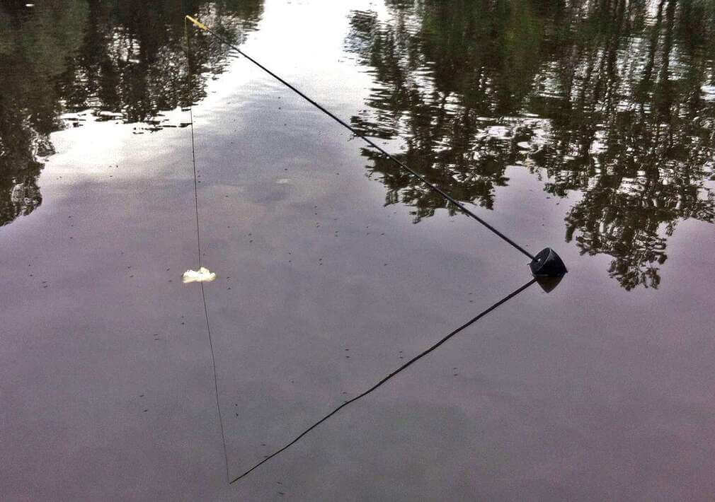 The Carp Trap: Eine andere Art des Oberflächenfischens