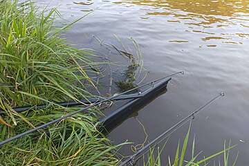 Karpervissen op stromend water