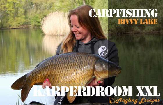 Video preview Carplake Zevenaar