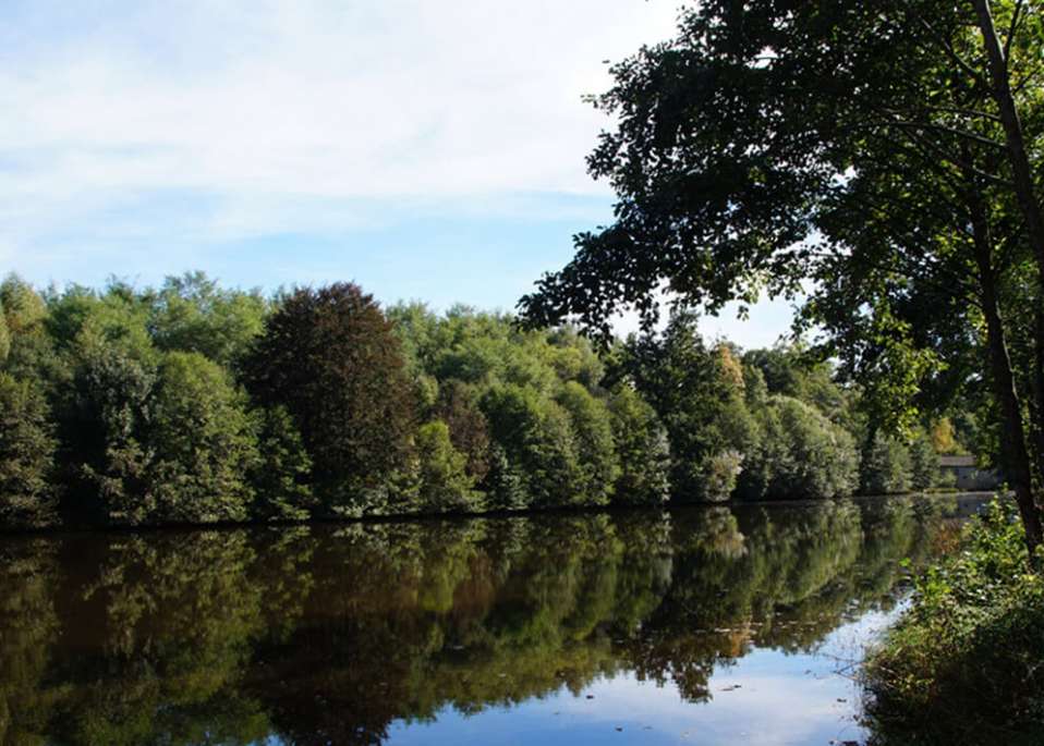 Tournesol main image